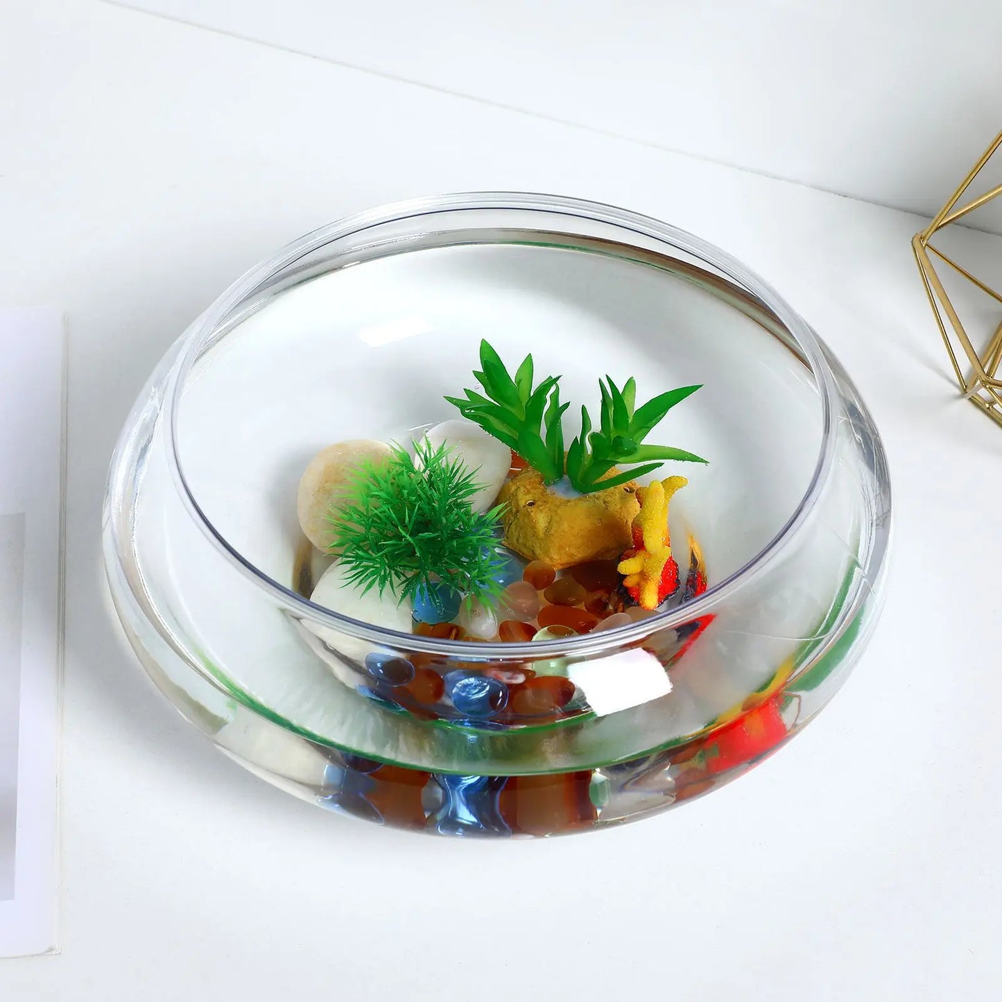 Transparent Multi-Function Fish Tank