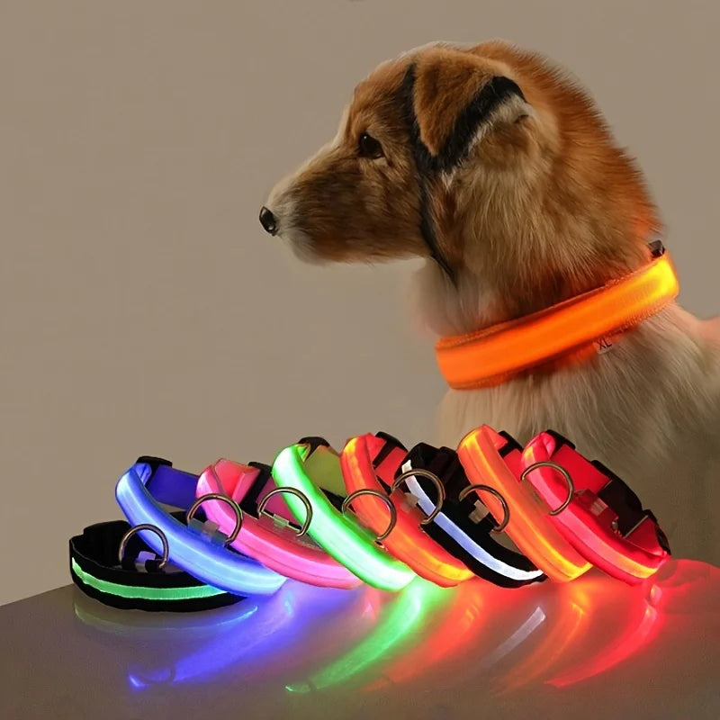 Nylon LED Night Safety Pet Leash & Luminous Collar for Pets