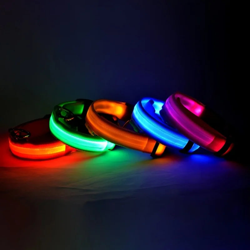 Nylon LED Night Safety Pet Leash & Luminous Collar for Pets