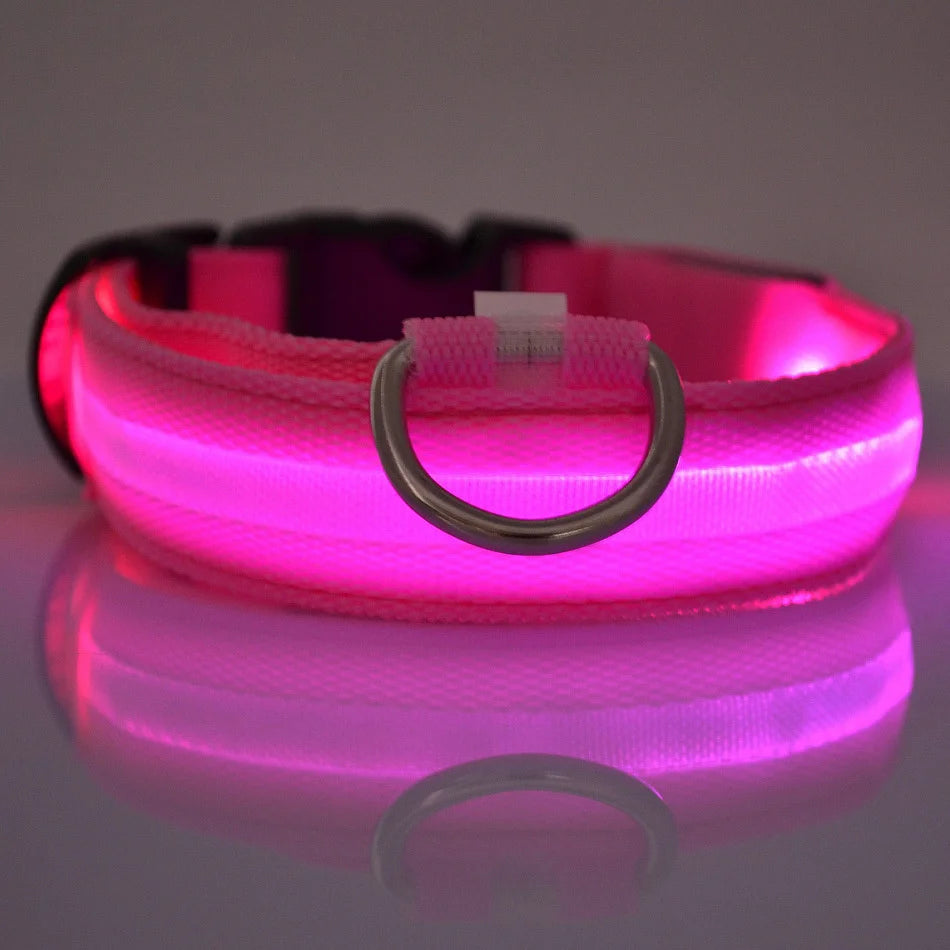 Nylon LED Night Safety Pet Leash & Luminous Collar for Pets