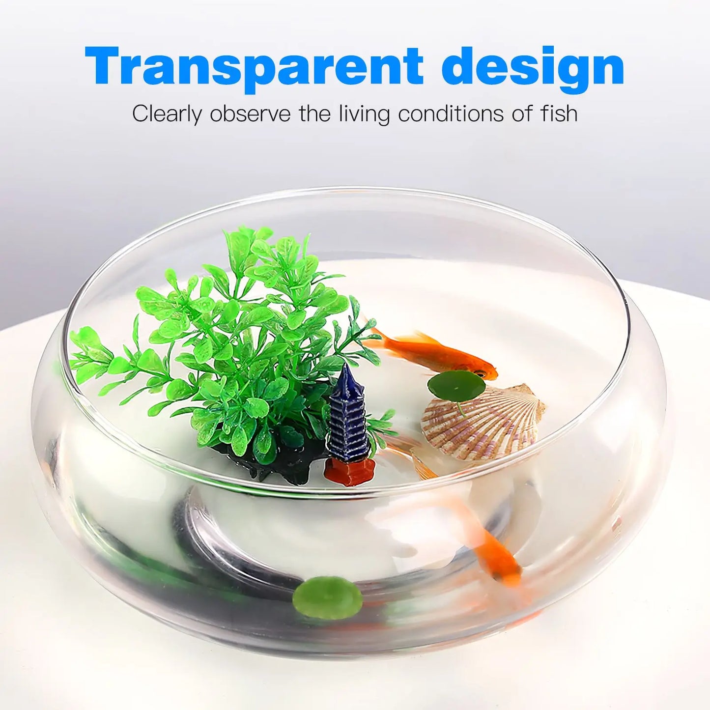 Transparent Multi-Function Fish Tank