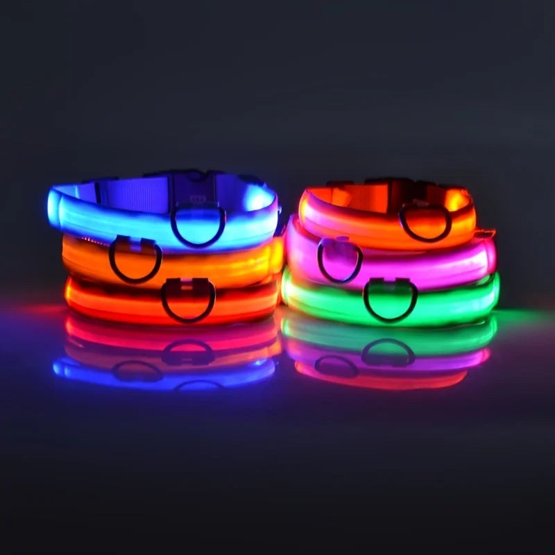 Nylon LED Night Safety Pet Leash & Luminous Collar for Pets