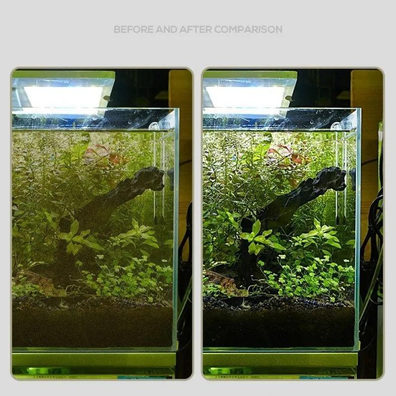 Fish Tank Steel Algae Removal Scraper