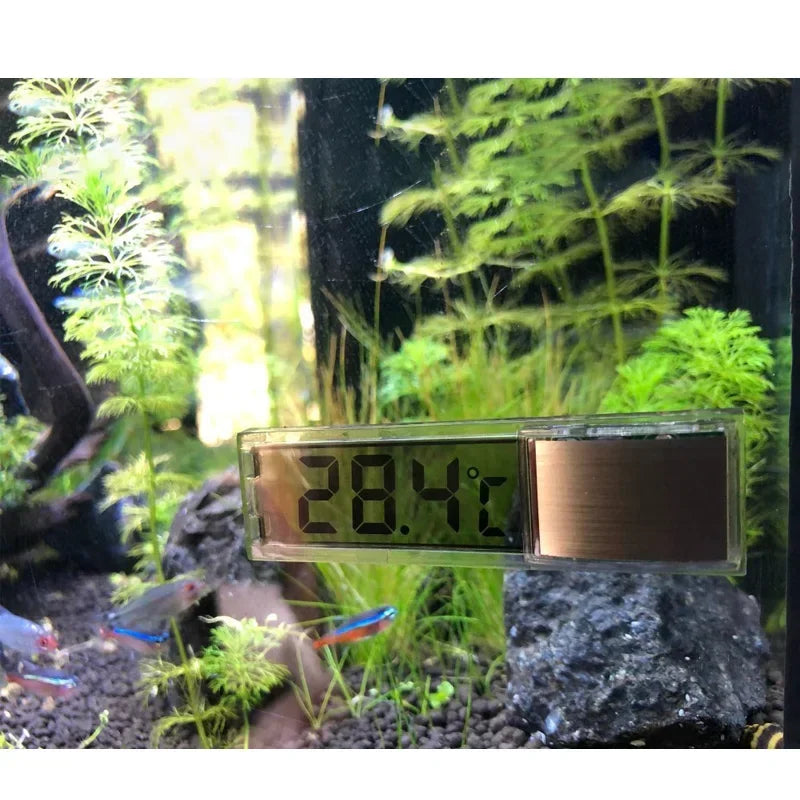 Digital LCD Aquarium Thermometer